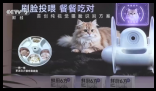 卖爆了!国产“宠”物全球抢着下单 为什么这么火爆？