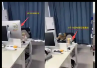 女子被踢845个群被迫离职 当地通报 到底是什么情况？