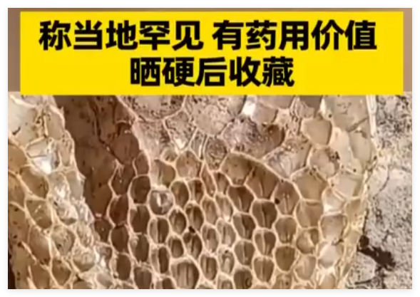男子家门口发现2米多长完整蛇蜕 这也太长了吧