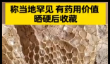 男子家门口发现2米多长完整蛇蜕 这也太长了吧