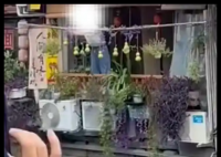 山寨版葫芦出现 葫芦爷爷最新发声 为甚恶魔引热议什么情况？