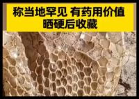 男子家门口发现2米多长完整蛇蜕 这也太长了吧