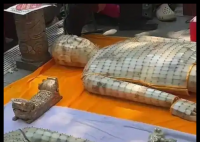 长沙文玩地摊惊现两套“金缕玉衣” 实在太罕见了