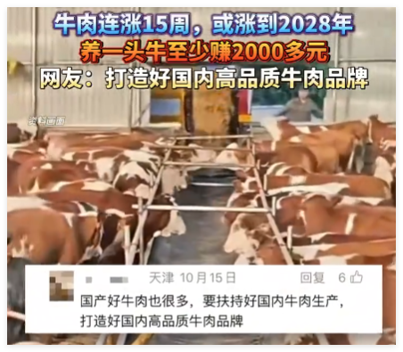养一头牛至少赚2000多元 到底是不是真的?