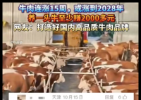 养一头牛至少赚2000多元 这也太赚钱了吧
