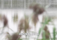 从医12年竟无医师资格证 到底是什么情况？